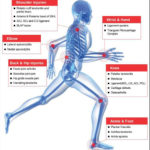 Platelet-Rich Plasma: From Basic Science to Clinical Applications