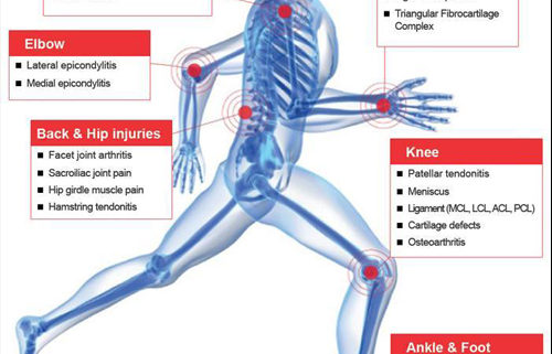 Platelet-Rich Plasma: From Basic Science to Clinical Applications
